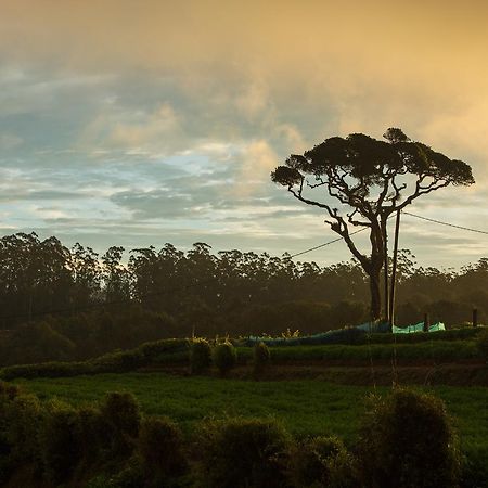 Grand Camellia Hotel Nuwara Eliya Dış mekan fotoğraf
